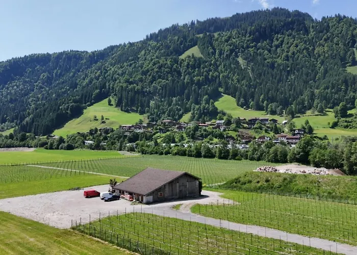 Apartamento At Hans Frauenschuh Alte Gerberei Kitzbühel